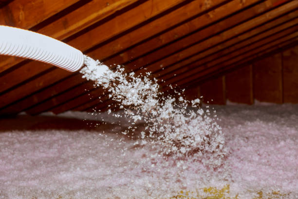 Best Energy Efficiency Solutions in Oak Forest, IL